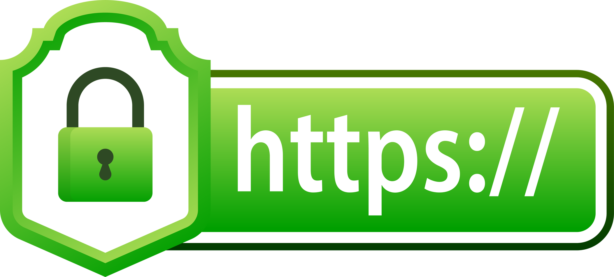 Http vs Https protocols. Understanding the Importance of Secure Web Connections